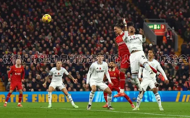 人人体育app安卓版度小满支付