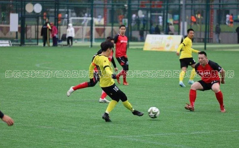 人人体育app官方下载ios梯哥哥科技