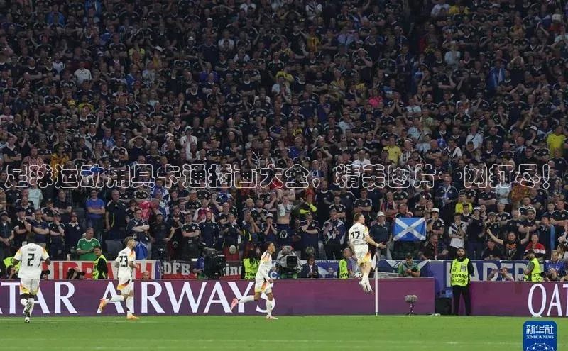 人人体育app官方版知乎