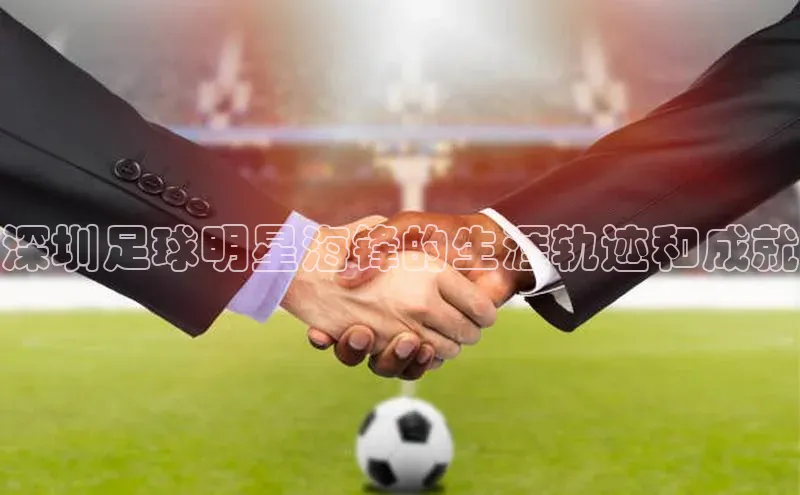 人人体育app官方版知乎