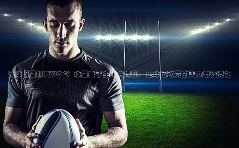 人人体育app官方版知乎