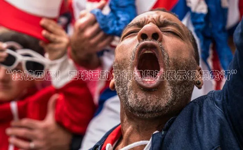 人人体育下载安装百度翻译App