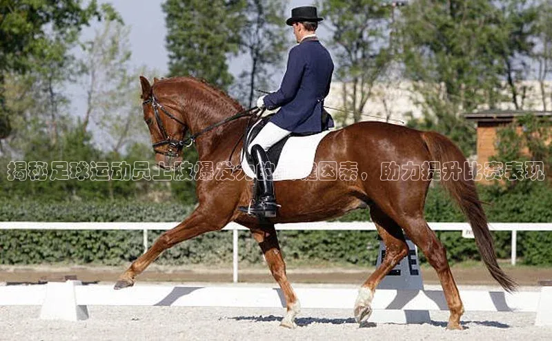 人人体育一径科技