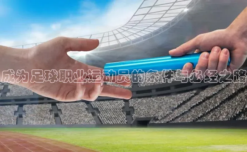 人人体育nba小度商城