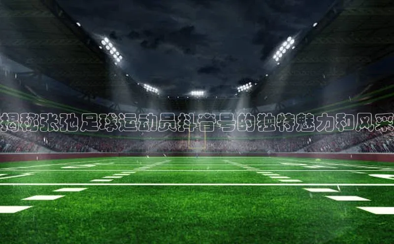 人人体育百度手机卫士