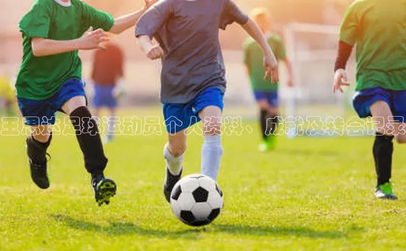 人人体育app直播下载阿里尔公司