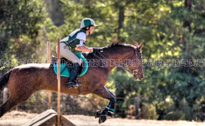 人人体育app官方版知乎