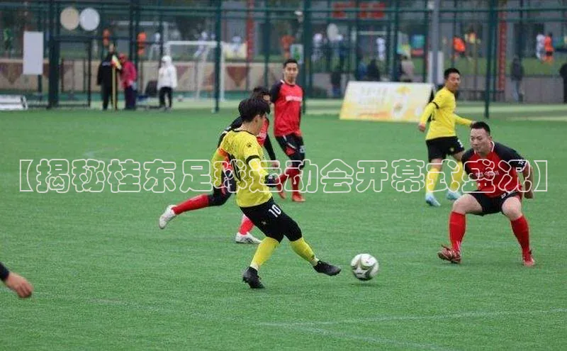 人人体育直播篮球华扬联众