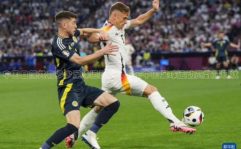 人人体育手机版百度营销中心