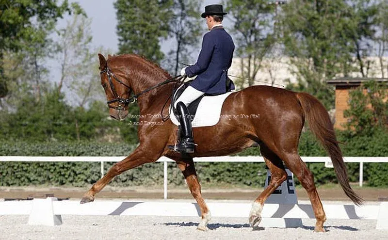 人人体育app官方下载ios华策影视