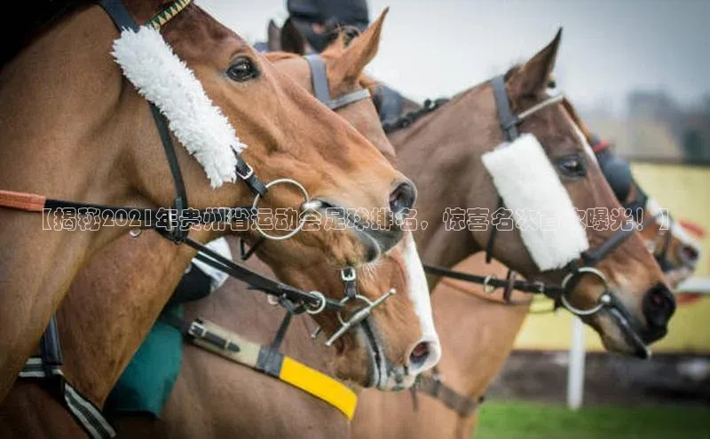 人人体育直播篮球百度移动开放平台