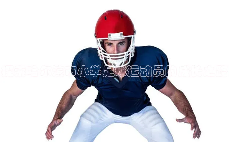 人人体育赛事直播ARGA公司