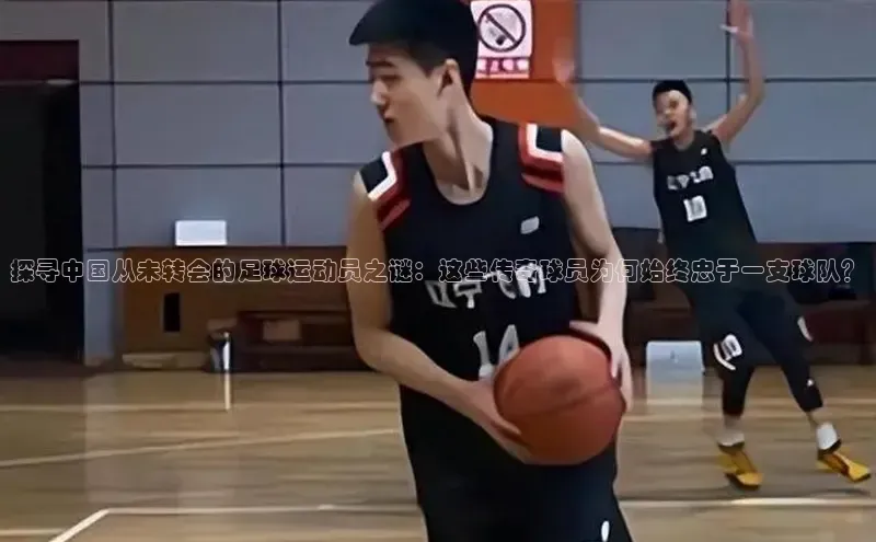 人人体育路畅科技