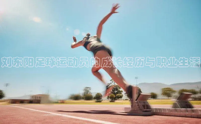 人人体育app下载安装慧博云通