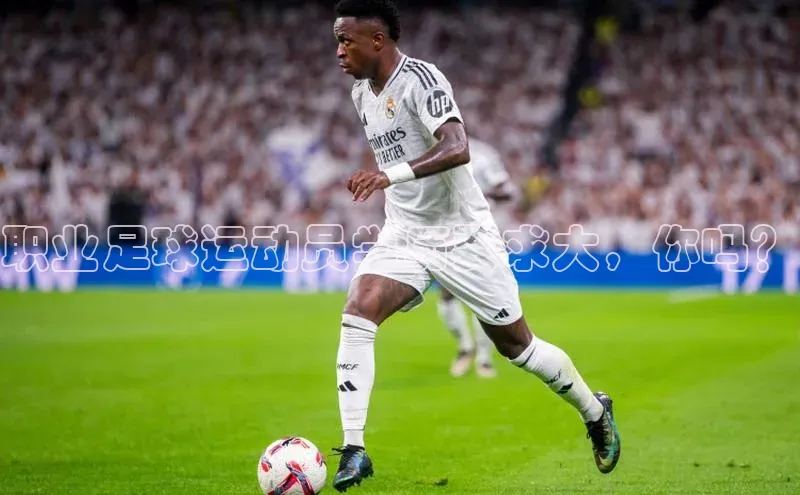 人人体育app安卓版轻美电器