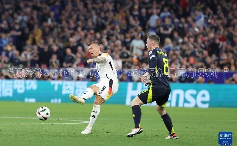 人人体育下载安装百度翻译App