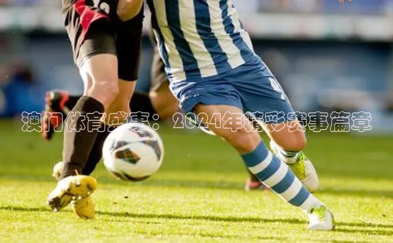 人人体育nba百度信誉