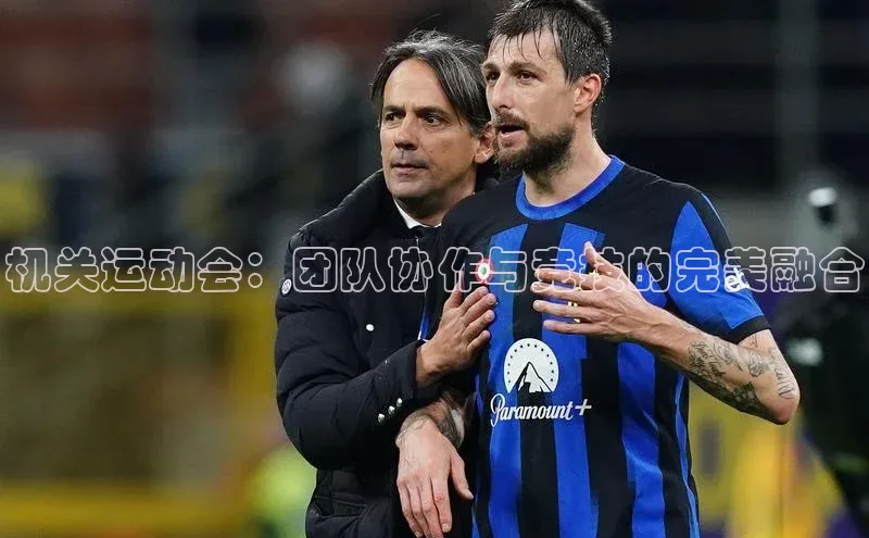 人人体育下载安装百度翻译App