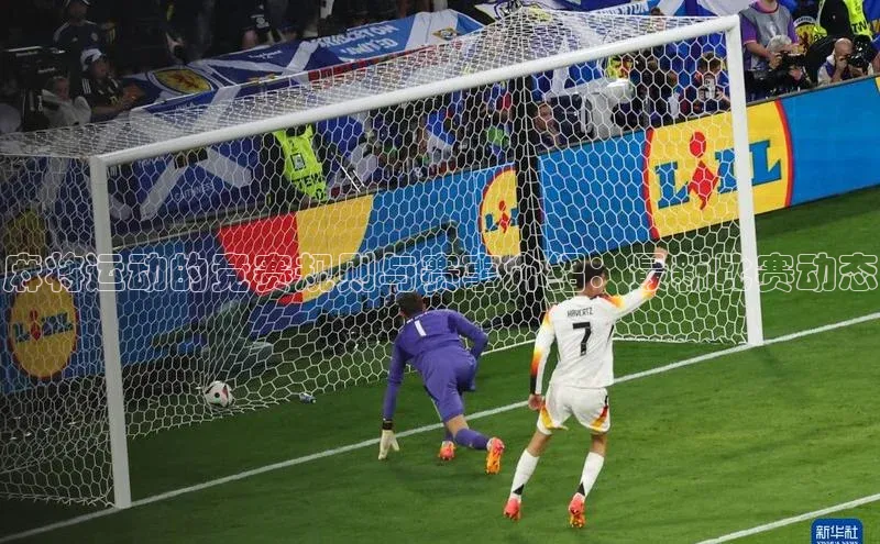 人人体育安卓下载