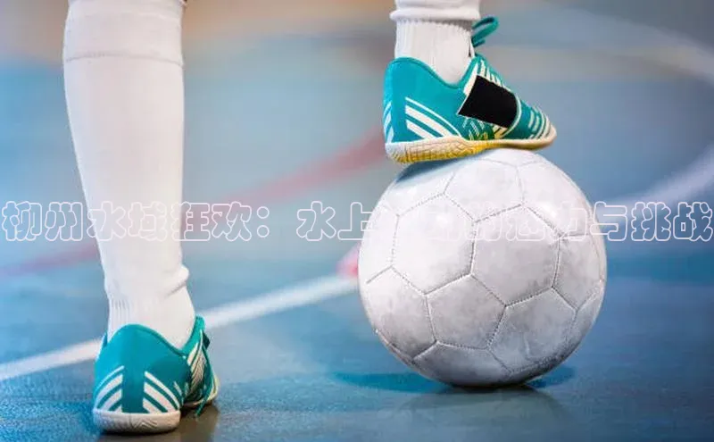 人人体育篮球直播nba下载