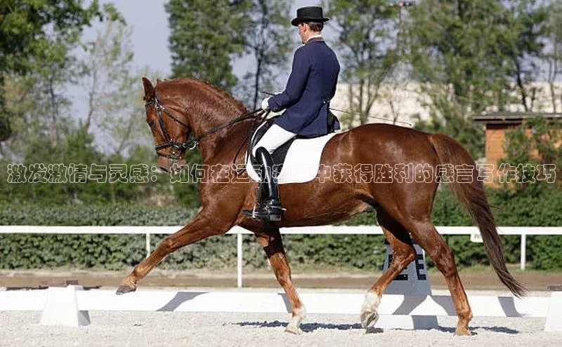 人人看球app下载