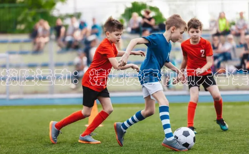 人人体育app直播下载