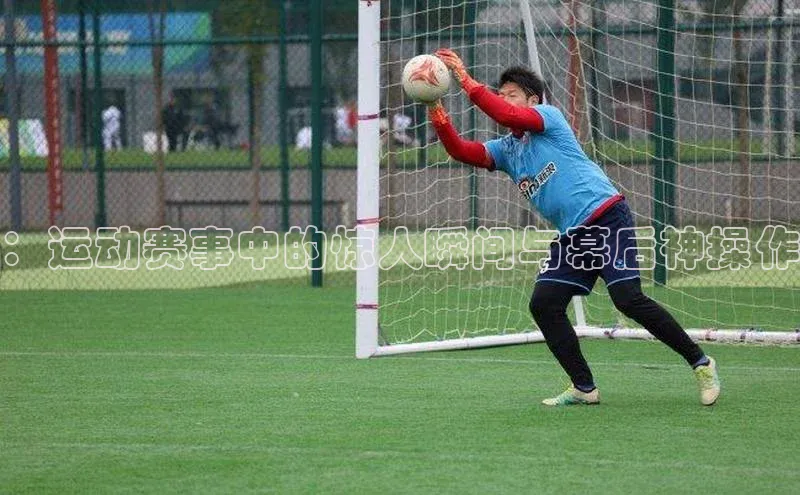 人人体育直播篮球