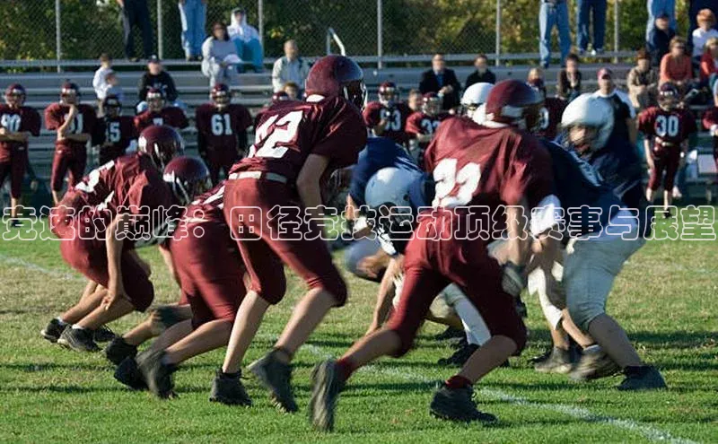 人人体育app安卓版