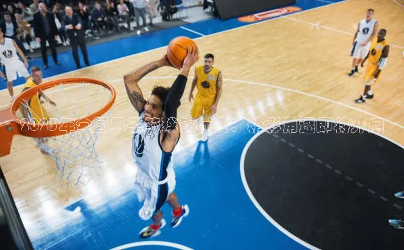 人人看球app下载