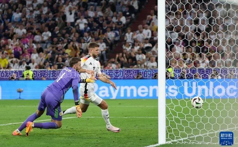 人人体育app官方版