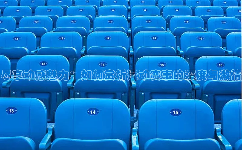 人人体育直播篮球