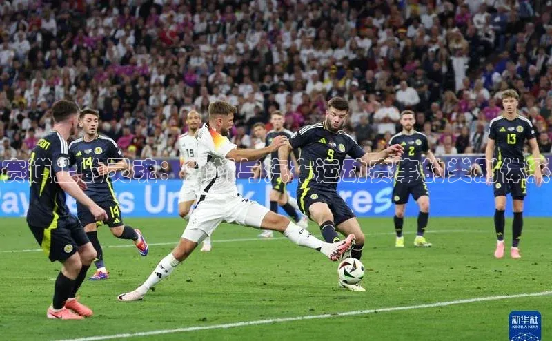 人人体育app安卓版