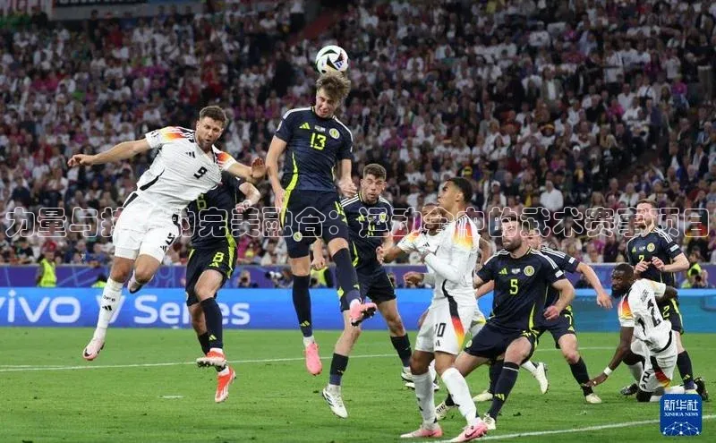 人人体育手机版