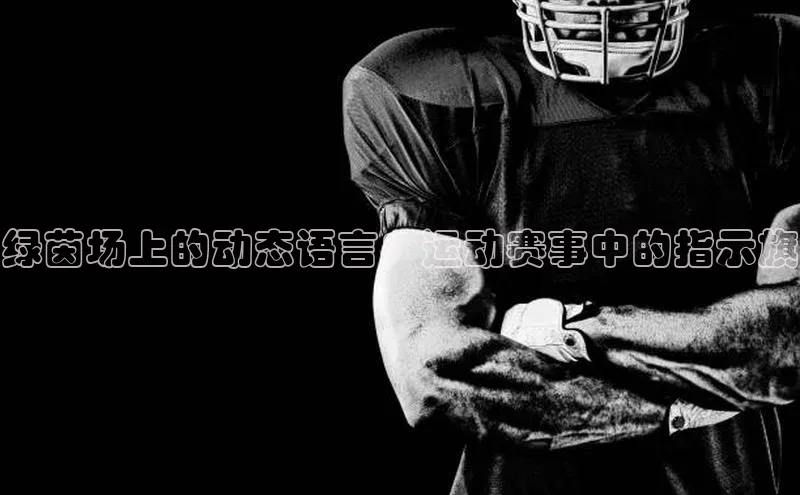 人人体育官方正版下载安装